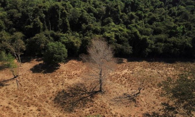 amazonia floresta desmatamento imazon