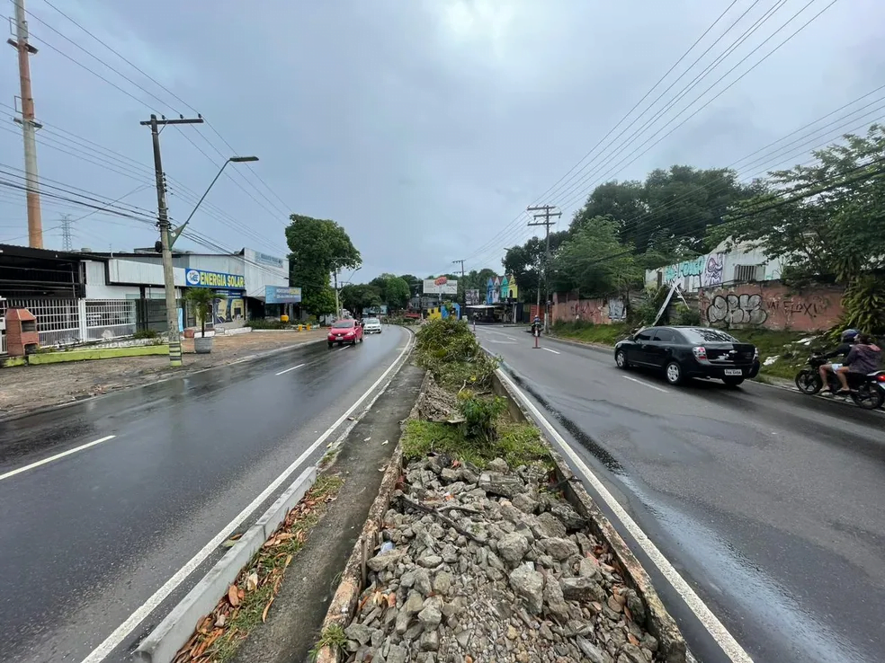 ephigenio salles manaus immu