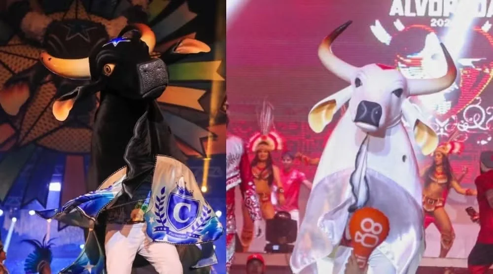 festival parintins espetáculo folclórico