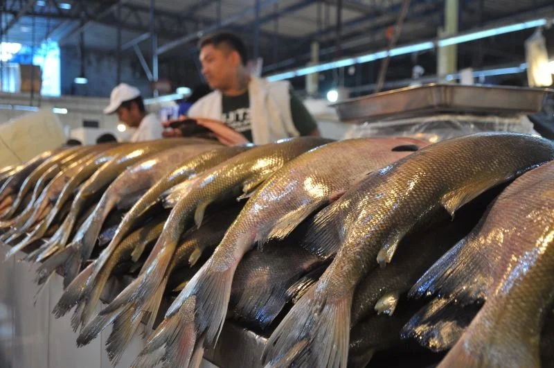 Manaus Moderna Rio Negro