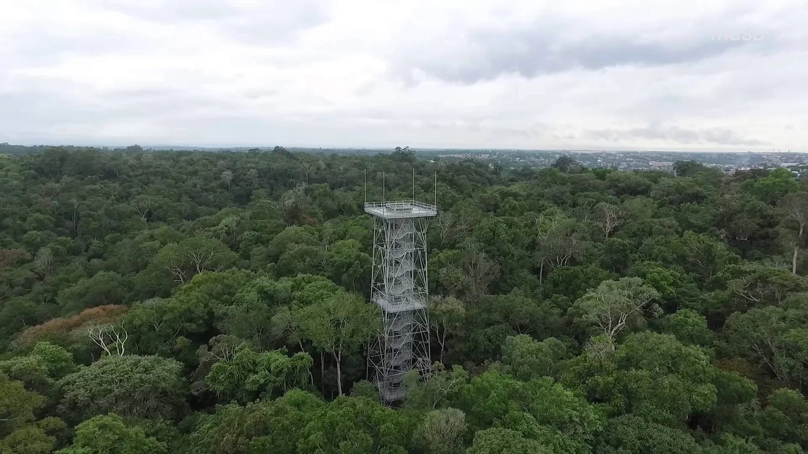 torre musa manaus amazônia