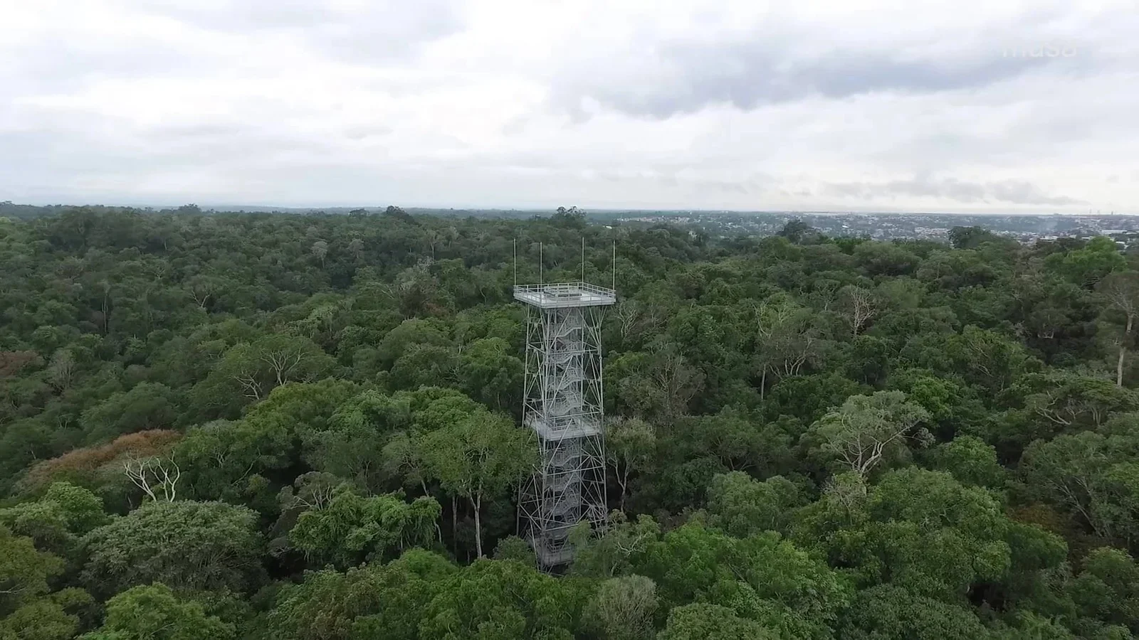 torre musa manaus amazônia
