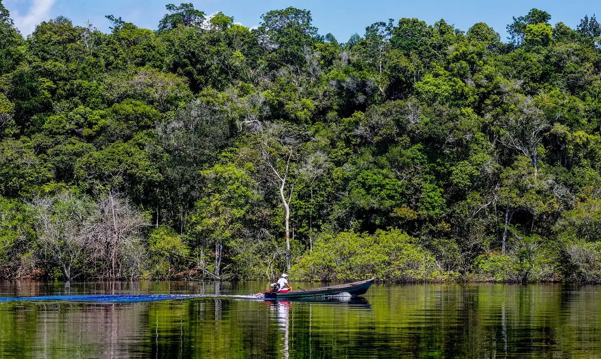 hepatite delta ribeirinhos amazonas