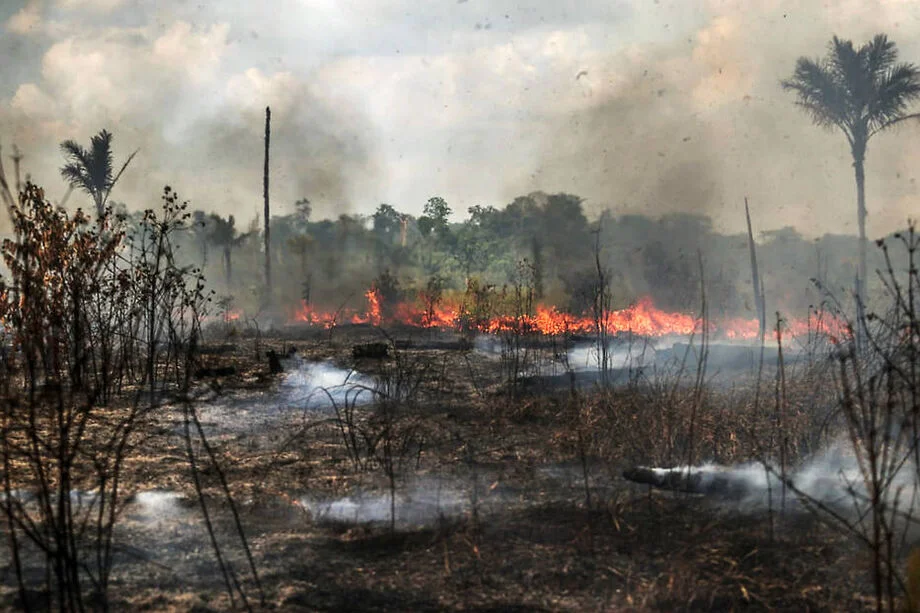 aumento queimadas Amazônia incêndio