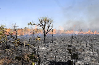 aumento queimadas Amazônia incêndio