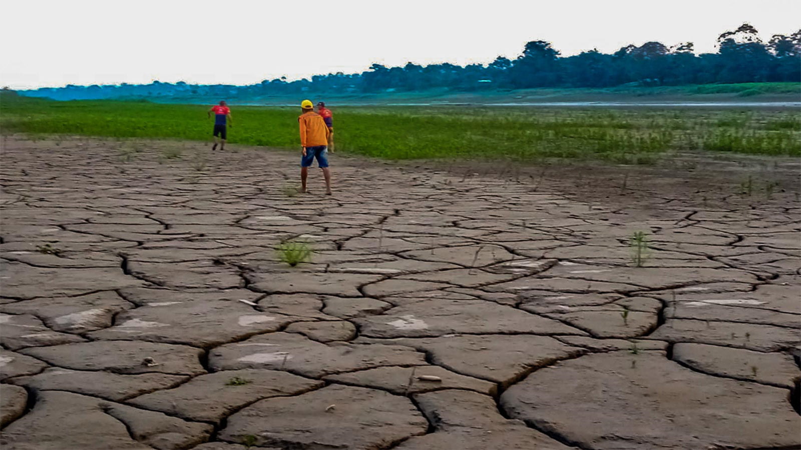 impactos estiagem solimões amazonas