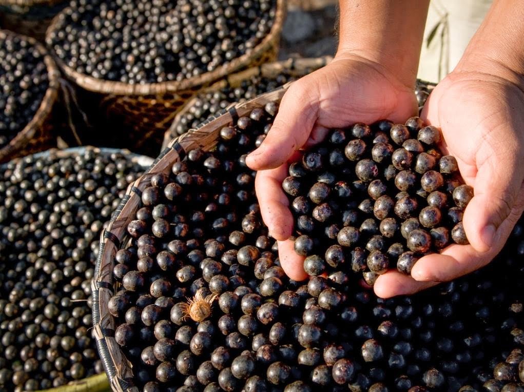 açaí guaraná