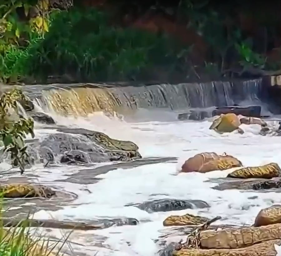 lixo poluição igarapés manaus