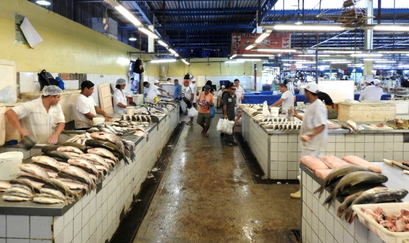 Escassez de peixes em Manaus