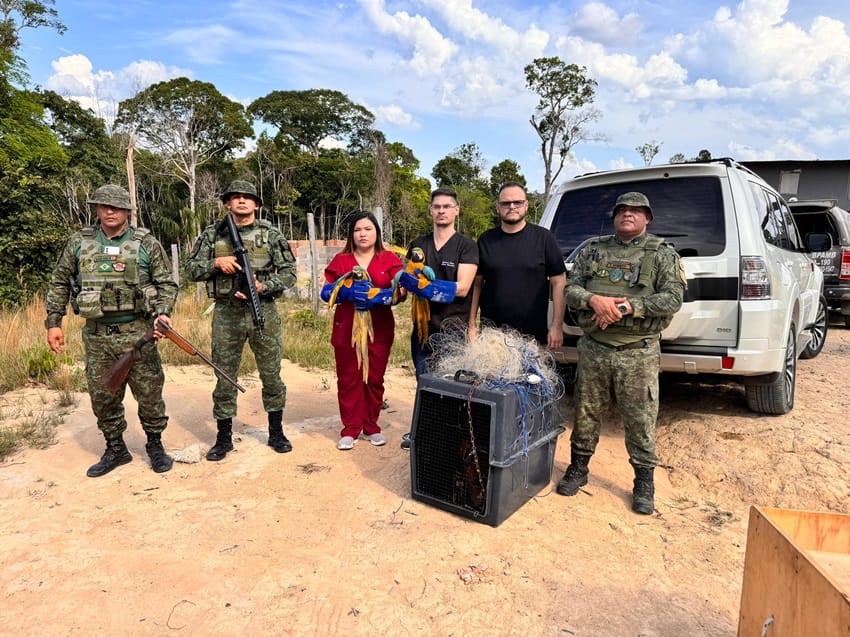 araras resgatadas Ramal Brasileirinho