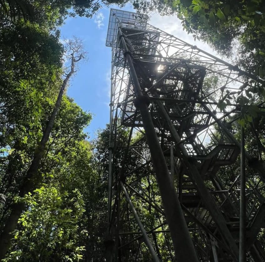 projeto amazônia revelada manaus