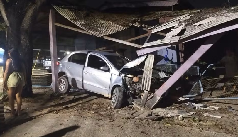 carro invade floricultura