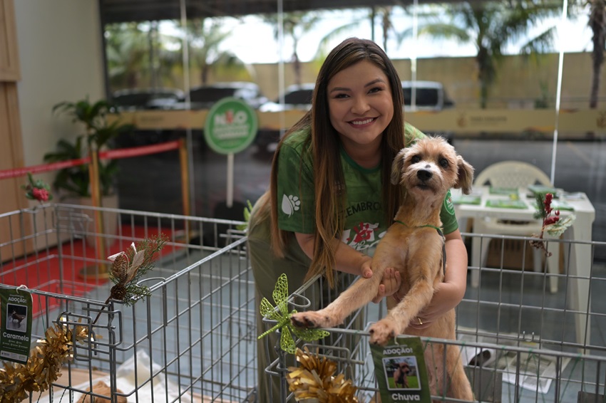 Campanha Dezembro Verde: Deputada Joana Darc realiza evento de adoção de animais resgatados