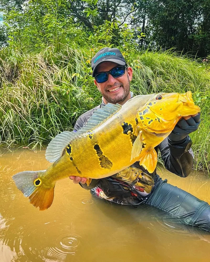 Lei de Proteção ao Tucunaré impulsiona pesca esportiva e turismo sustentável no Amazonas