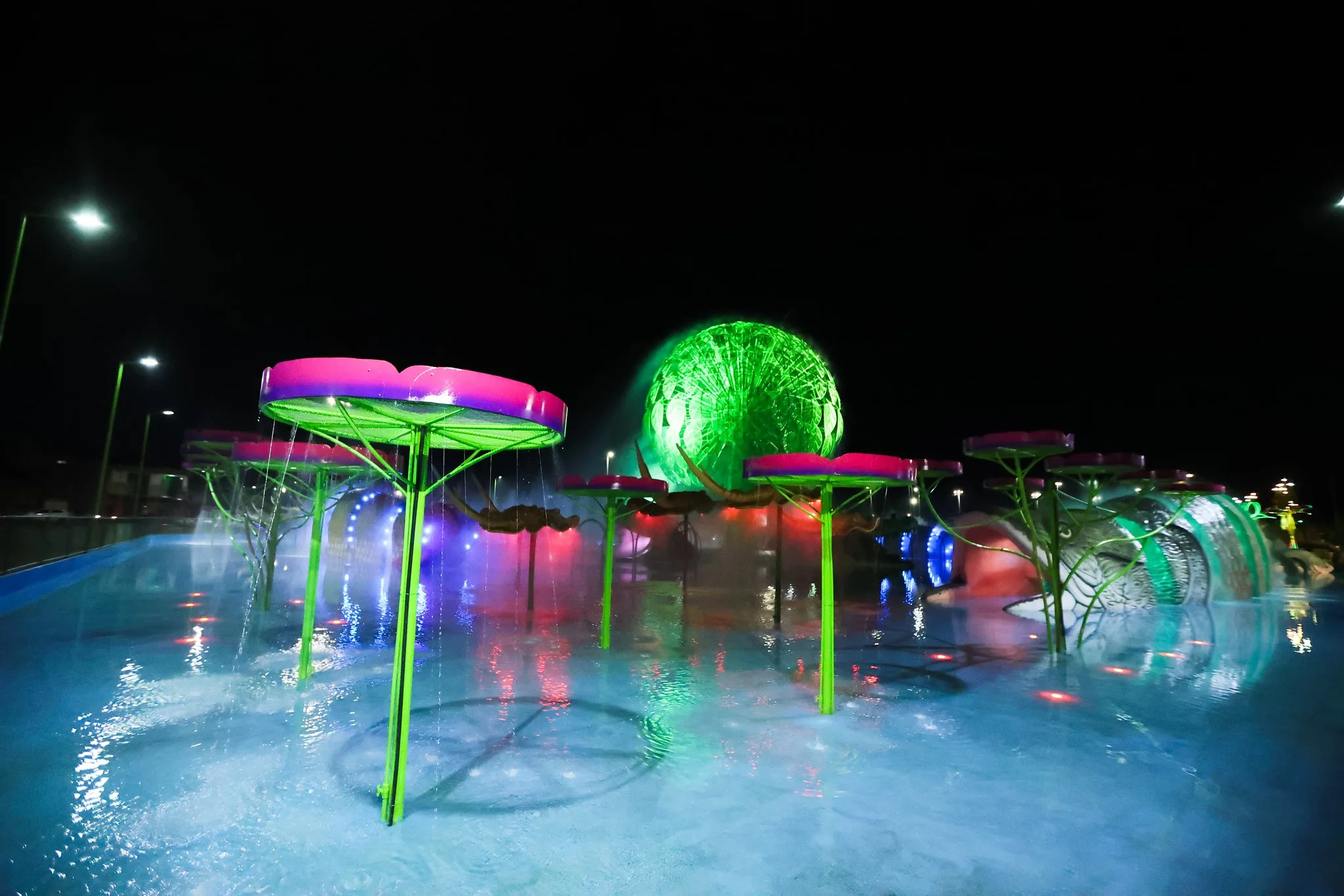 Parque Gigantes da Floresta estará aberto para visitação no Natal