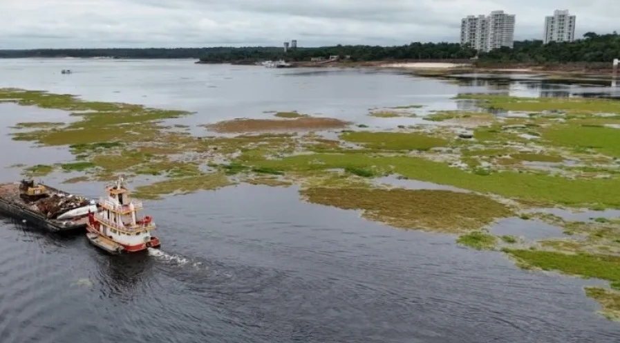 Chuvas elevam nível do Rio Negro em Manaus e reforçam recuperação após seca histórica