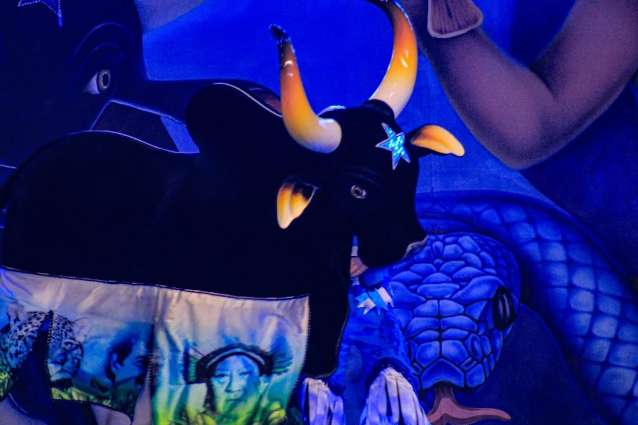 “Festa do Povo do Palmares” celebra tradição e território do Boi Caprichoso