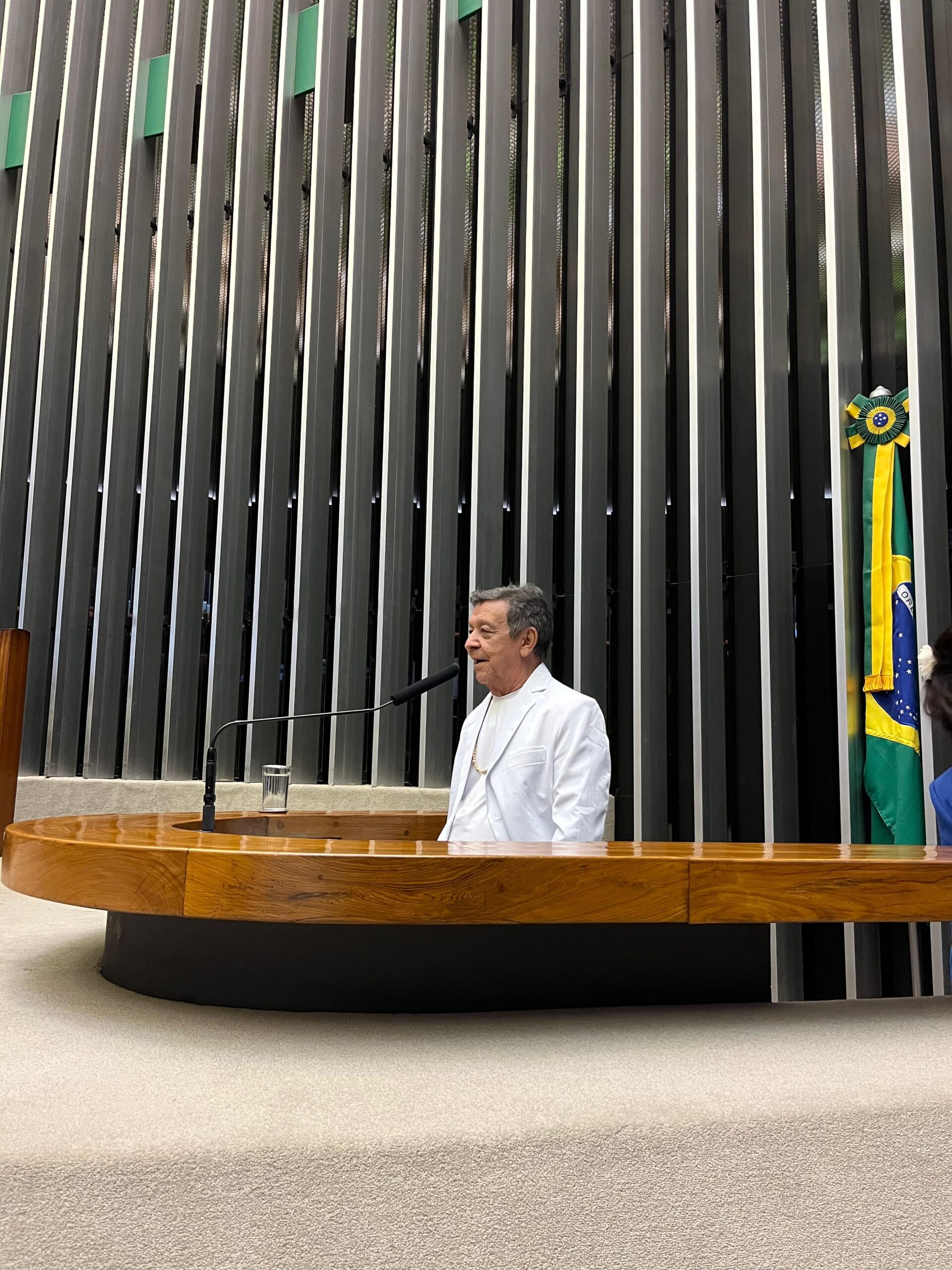 Boi Garantido é homenageado na Câmara dos Deputados em sessão dedicada ao Festival de Parintins