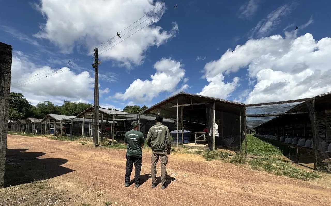 Ipaam notifica seis granjas no Amazonas e reforça necessidade de regularização ambiental