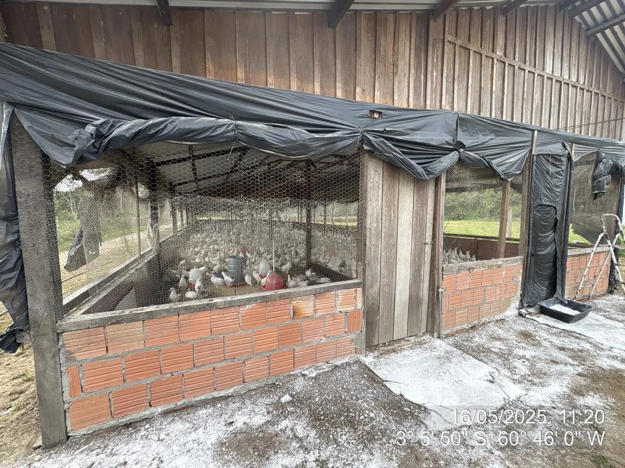 Ipaam notifica seis granjas no Amazonas e reforça necessidade de regularização ambiental