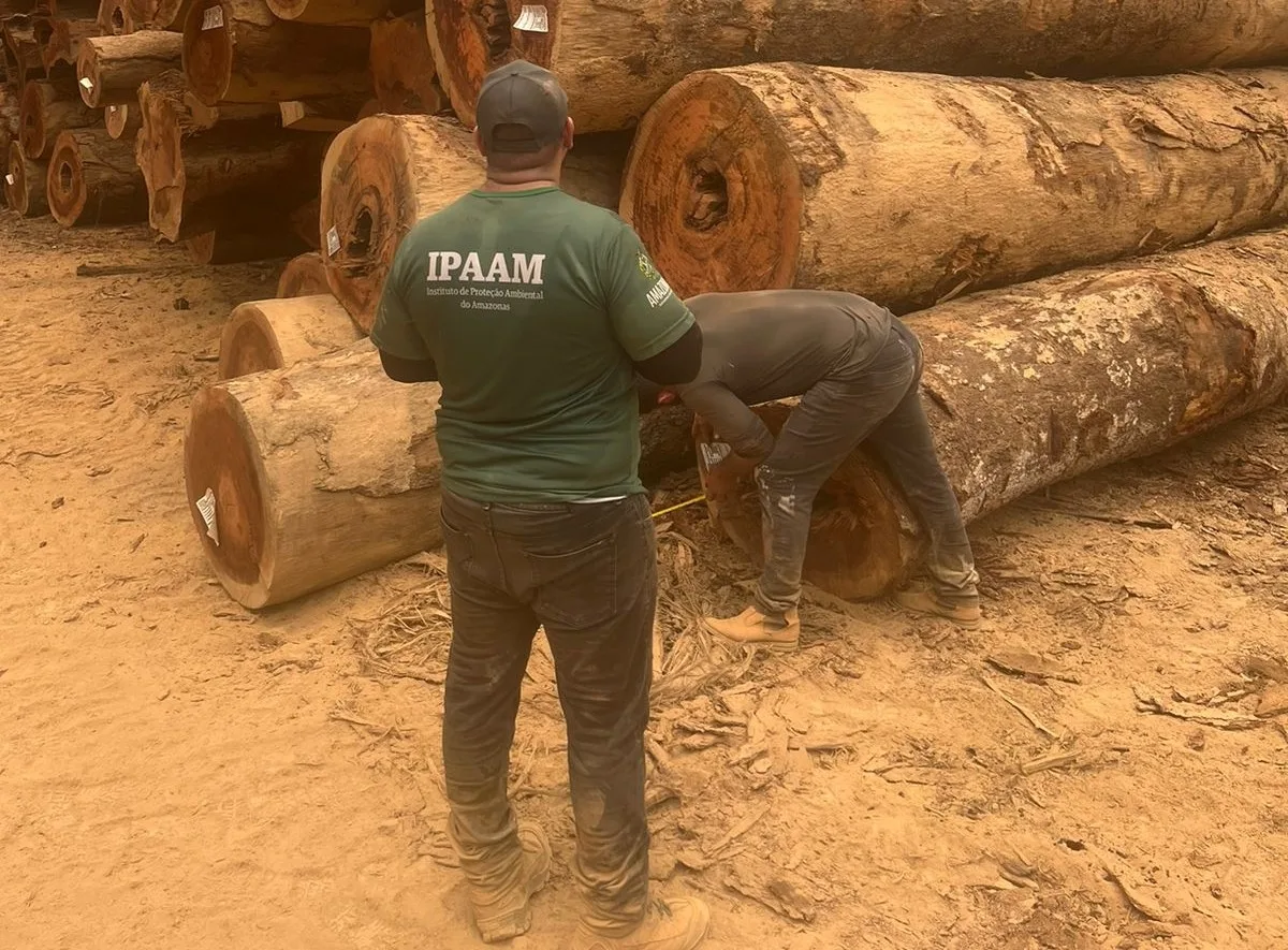 Período do Defeso Florestal chega ao fim nesta quinta-feira no Amazonas