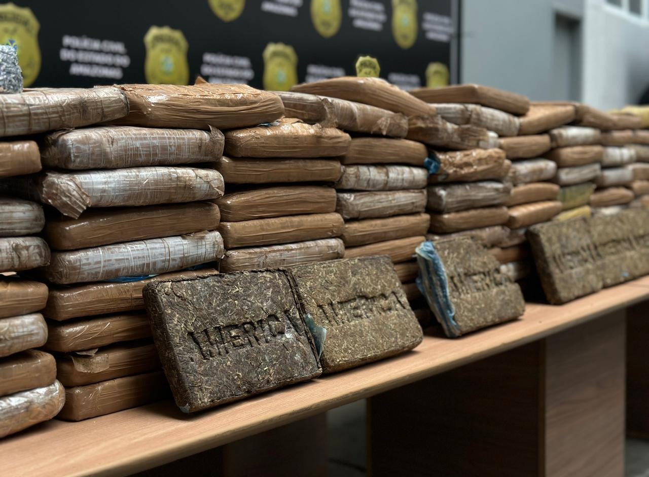 PC-AM apreende 150 quilos maconha tipo skunk em casa na comunidade Grande Vitória