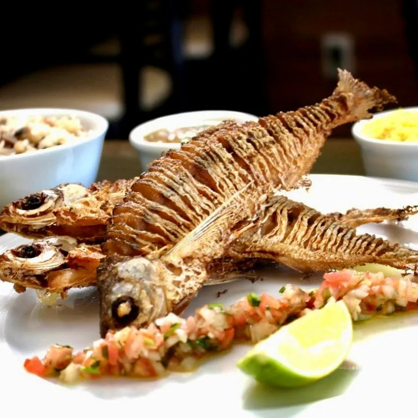 Restaurante une gastronomia amazônica e clima de refúgio com a natureza a poucos minutos do Centro de Manaus