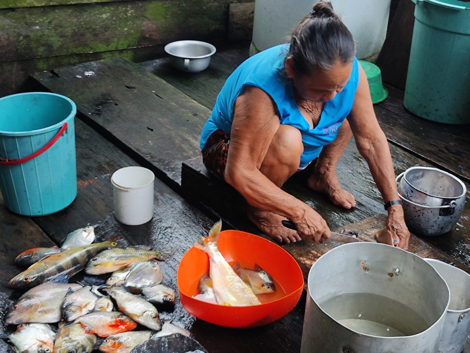 Transição alimentar na Amazônia brasileira: Pesquisa investiga fatores responsáveis pela mudança nos hábitos alimentares em comunidades ribeirinhas