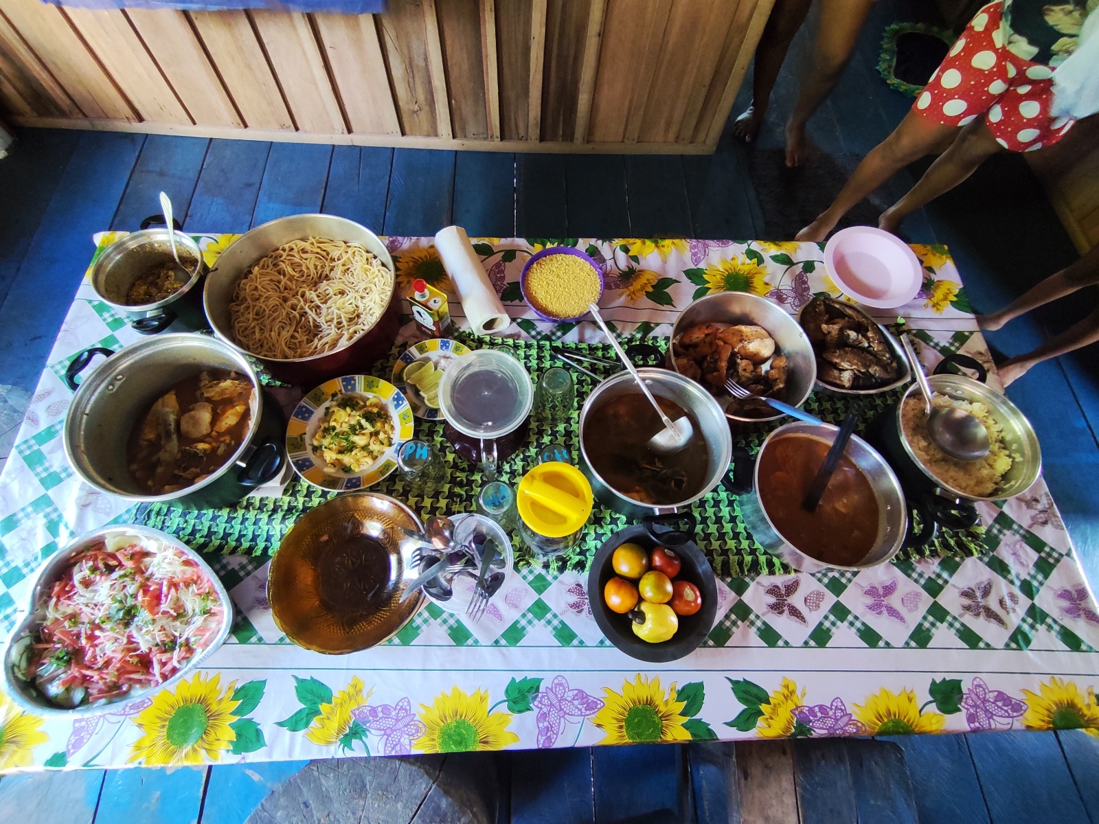Transição alimentar na Amazônia brasileira: Pesquisa investiga fatores responsáveis pela mudança nos hábitos alimentares em comunidades ribeirinhas
