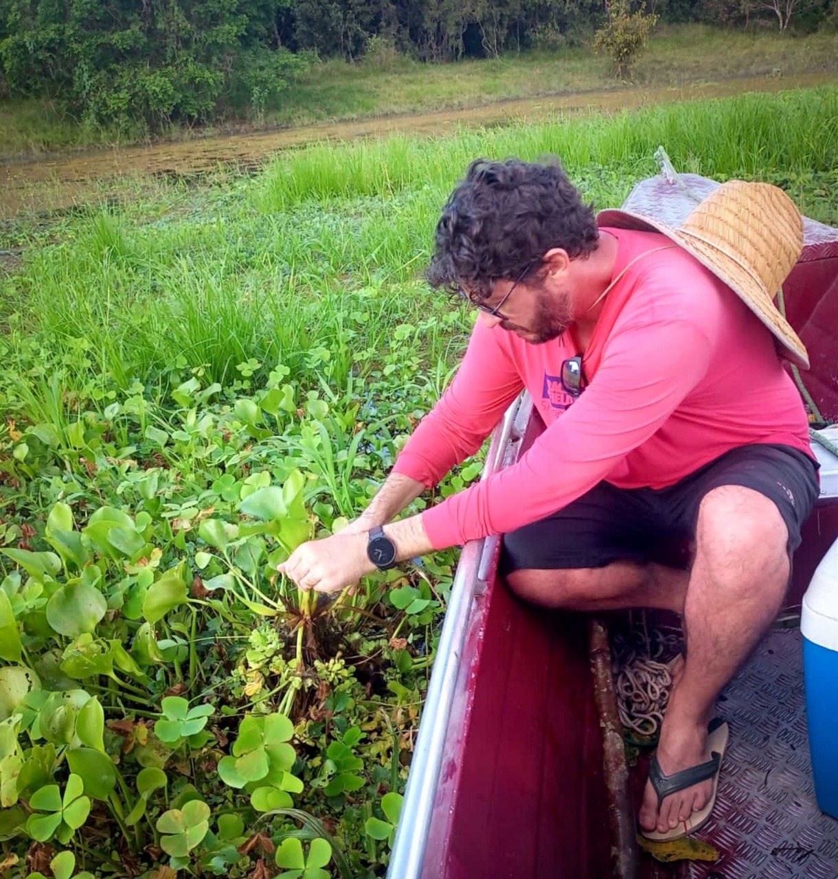 Com apoio do Governo do Amazonas, pesquisa identifica duzentas espécies de microalgas em Parintins