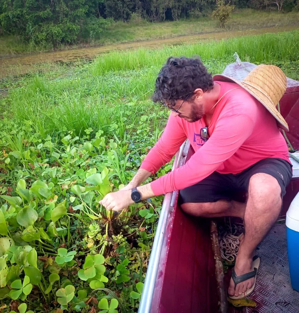 Com apoio do Governo do Amazonas, pesquisa identifica duzentas espécies de microalgas em Parintins