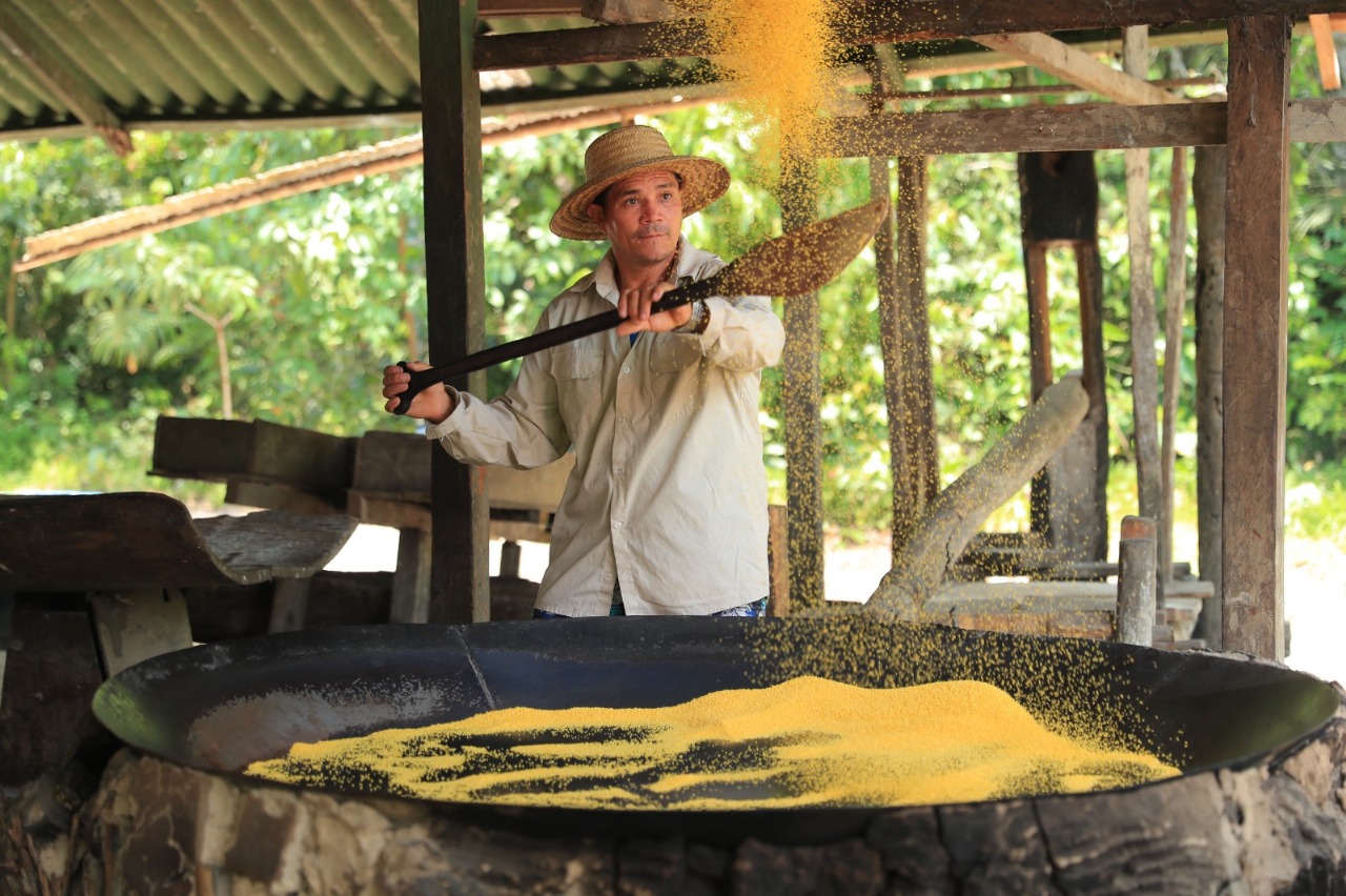 Eco Amazônia: Governo do Amazonas prepara feira integrada para celebrar Semana do Meio Ambiente