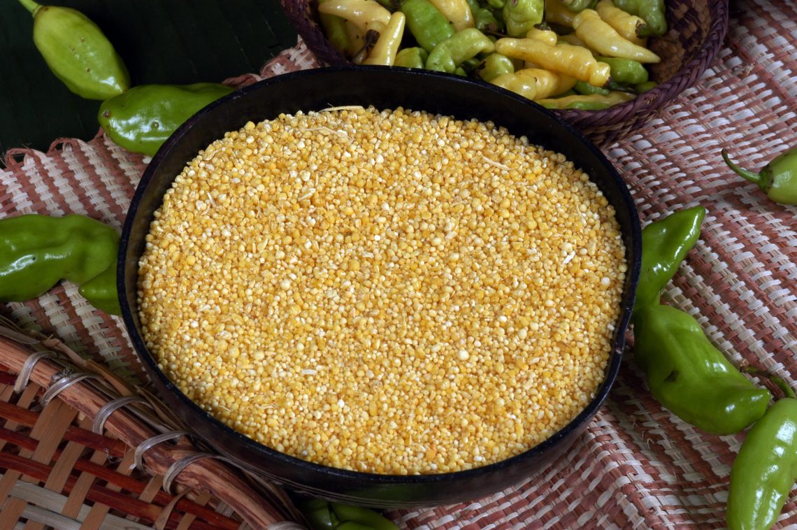 Agricultores do Médio Solimões recebem estrutura tecnológica para fortalecer produção tradicional de farinha Uarini