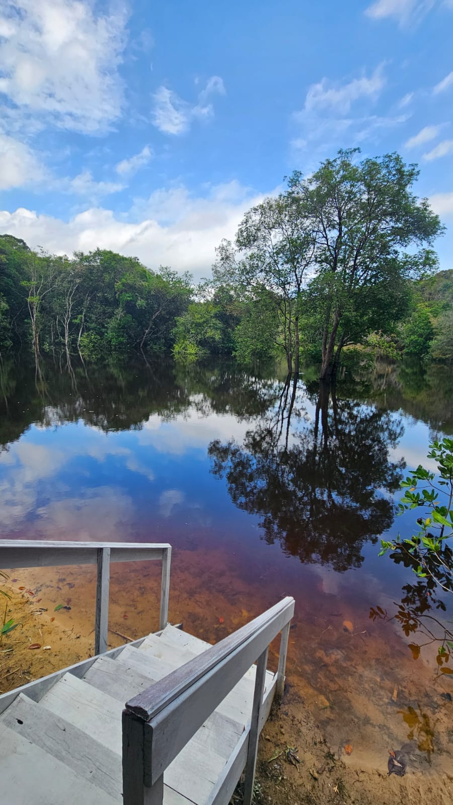Inaugurou em Manaus o Anauê Jungle Chalés, empreendimento que traz requinte e estilo em meio à natureza