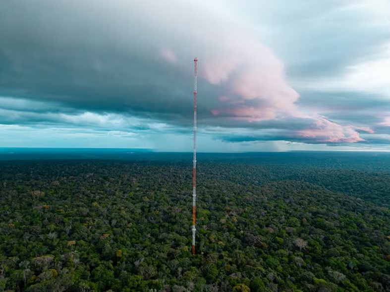 Poeira do Saara percorre 5 mil km até a Amazônia e ajuda a recompor nutrientes perdidos por queimadas, apontam pesquisadores