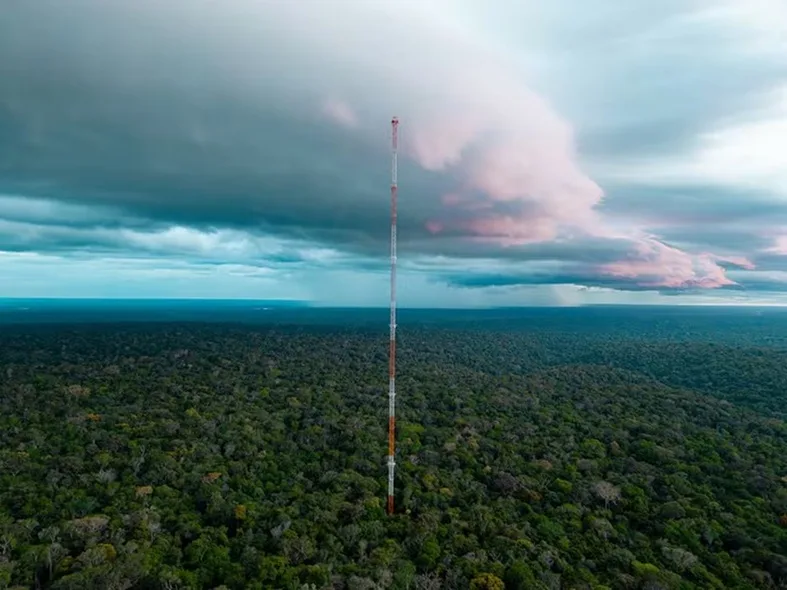 Poeira do Saara percorre 5 mil km até a Amazônia e ajuda a recompor nutrientes perdidos por queimadas, apontam pesquisadores