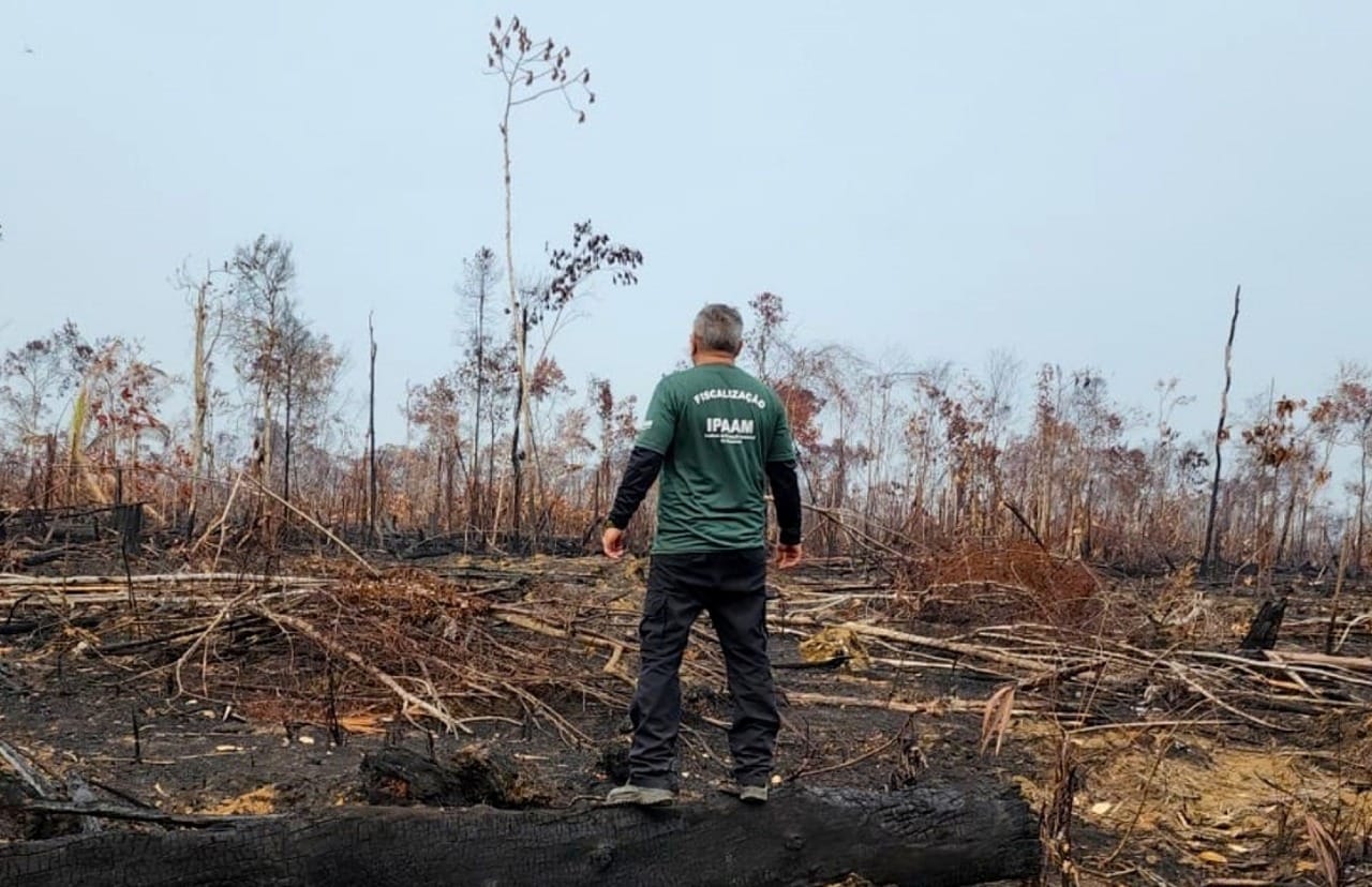 Ipaam intensifica fiscalizações contra queimadas e desmatamento na Região Metropolitana de Manaus