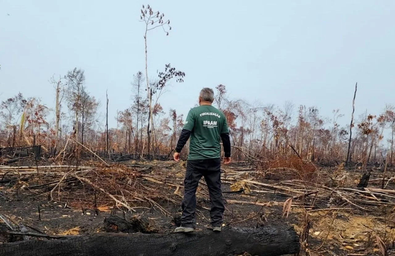 Ipaam intensifica fiscalizações contra queimadas e desmatamento na Região Metropolitana de Manaus