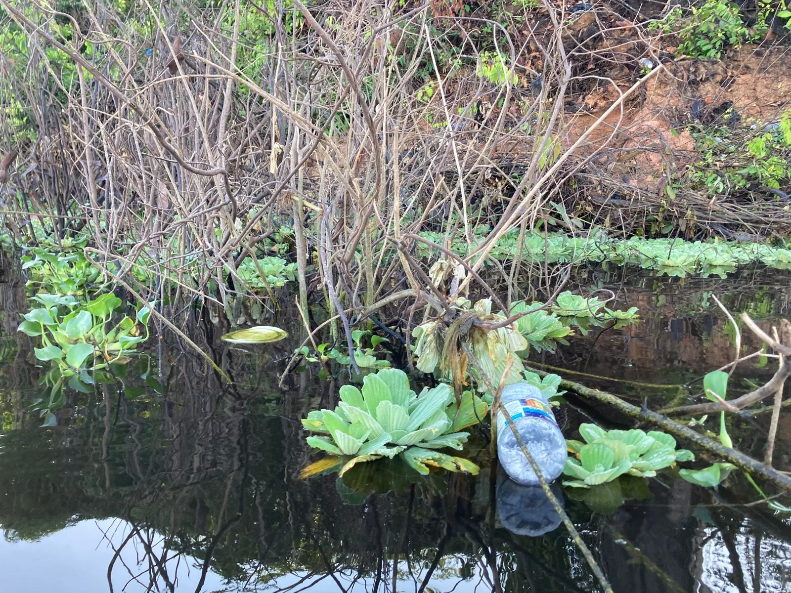 Estudo da Fiocruz Amazônia aponta extensa e preocupante contaminação por plásticos na Amazônia 