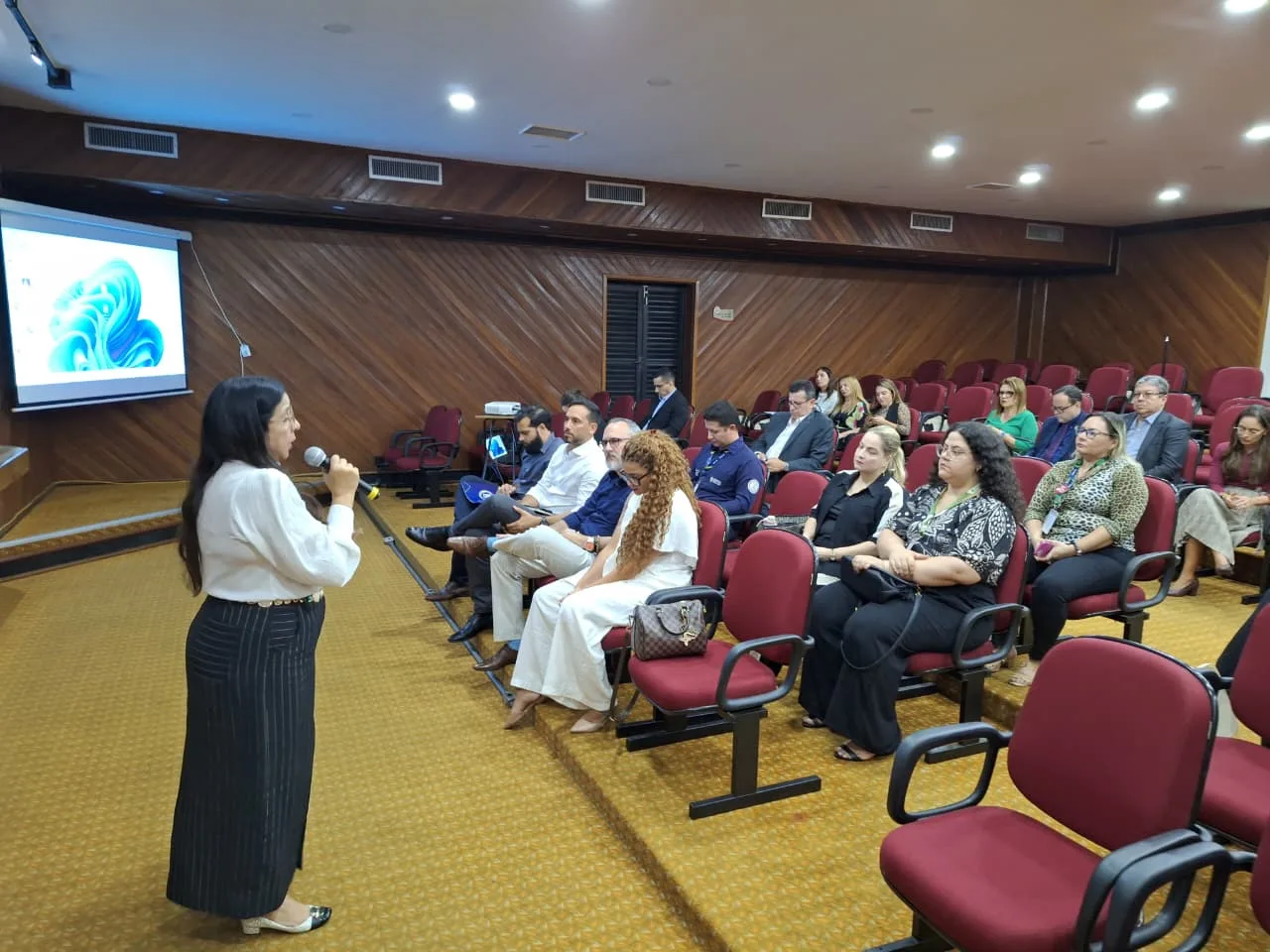 Ministério Público lidera reunião sobre uso de monitoramento eletrônico na defesa de mulheres vítimas de violência doméstica