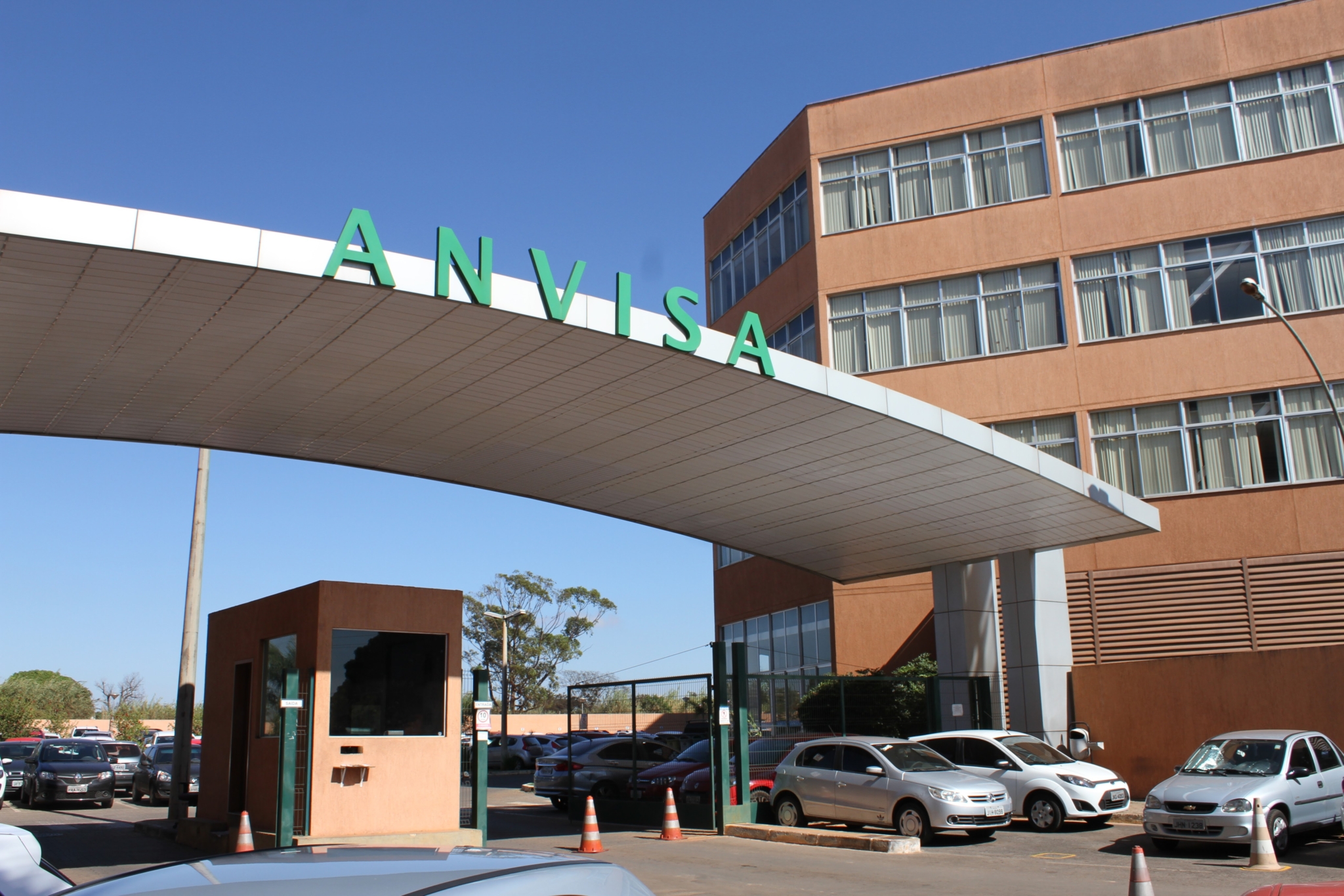 Anvisa proíbe comercialização de produtos à base de cannabis e cogumelos de três empresas