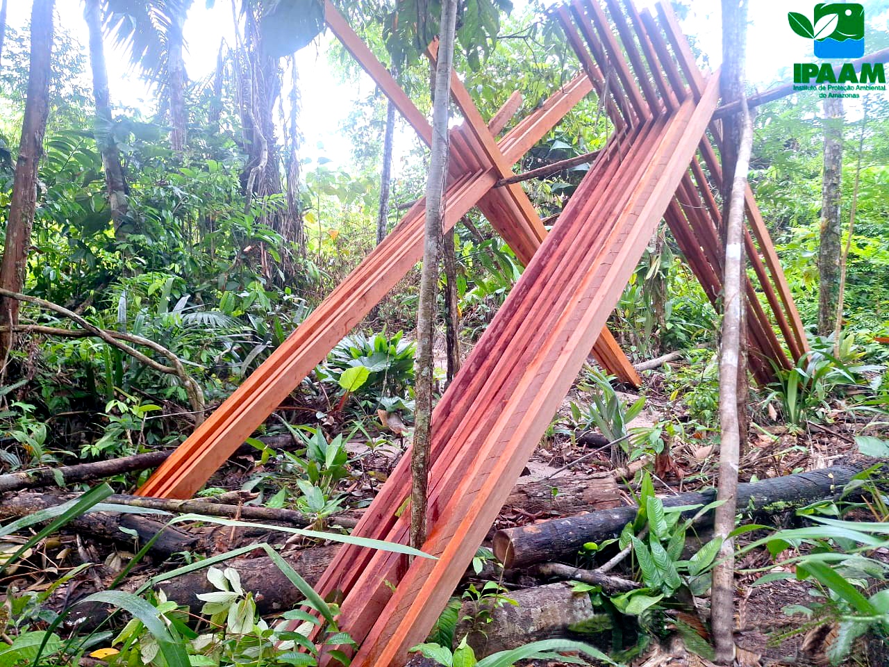 Ipaam aplica mais de R$ 90 mil em multas por crimes ambientais na Região Metropolitana de Manaus