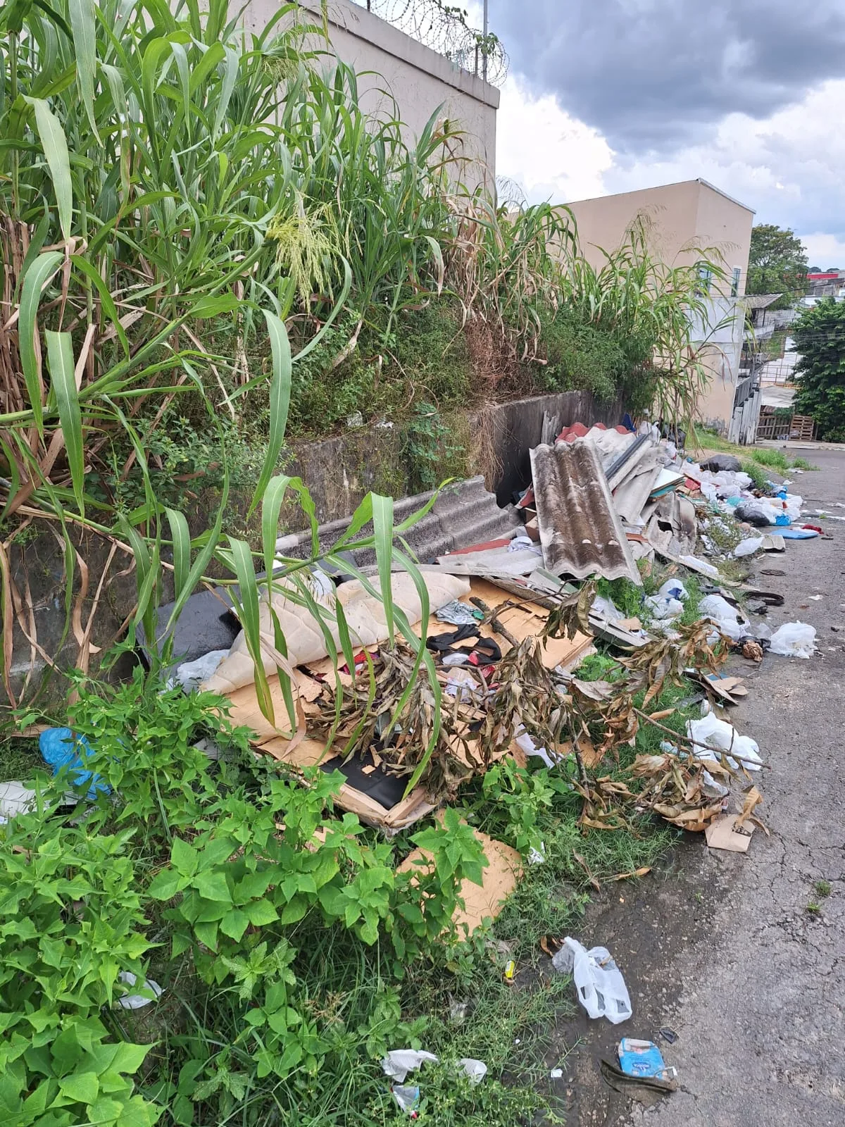 Prefeitura de Manaus elimina 561 pontos de descarte irregular de lixo em outubro e reforça apelo por consciência ambiental