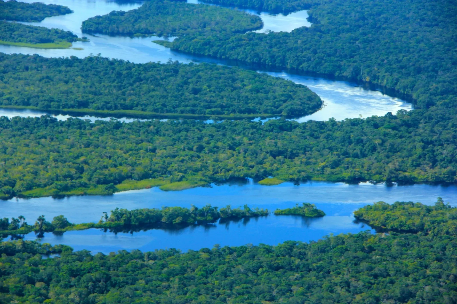 Amazonas tem a menor taxa de desmatamento desde 2017, aponta Prodes