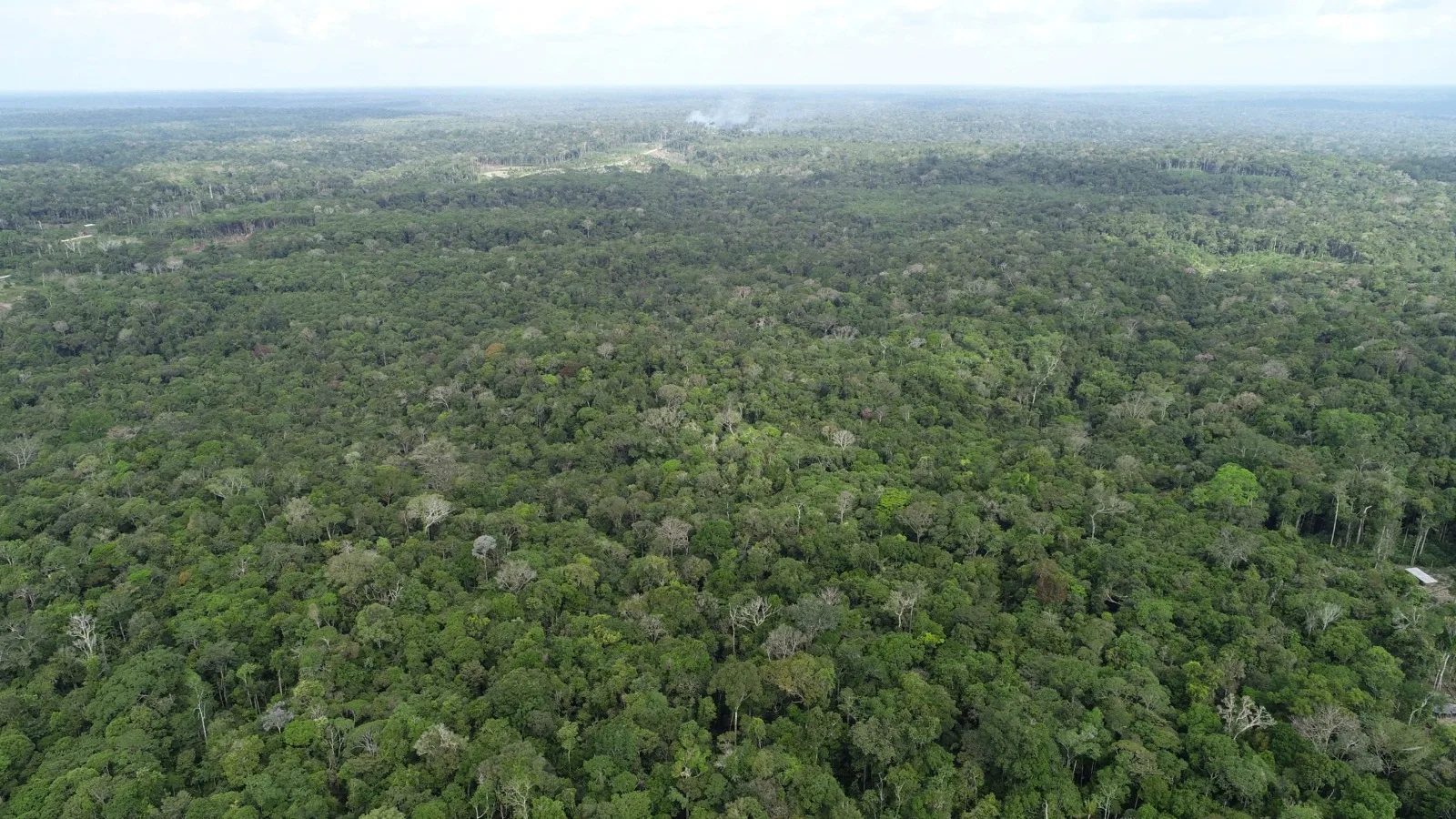 Governo do Amazonas registra em novembro o menor número de focos de calor desde 2021