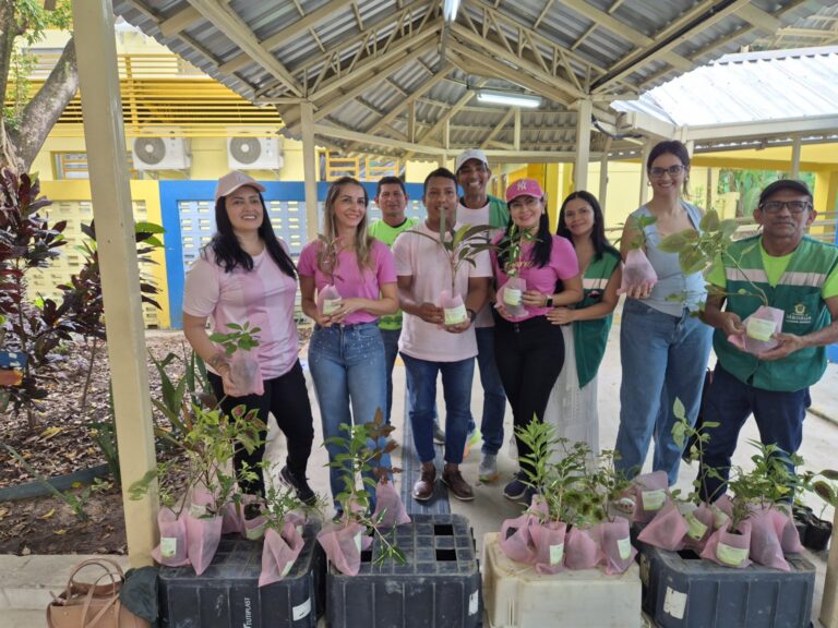 Prefeitura distribuiu mais de 10 mil mudas no primeiro quadrimestre de 2026 por meio do programa ‘Manaus Verde’