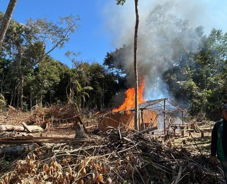 Ações integradas da PF e ICMBio desarticulam garimpos ilegais de ouro no Amazonas