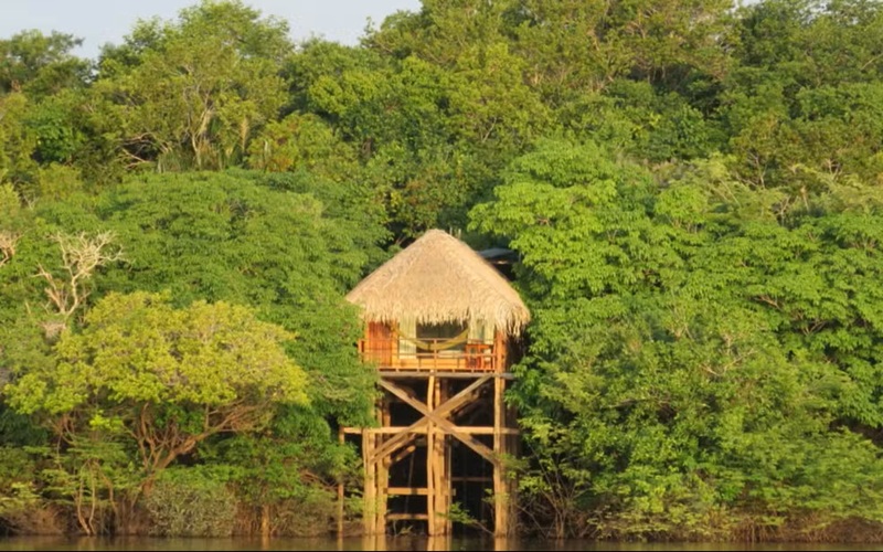Dormir na Floresta Amazônica: hotéis de selva oferecem experiências exclusivas no Amazonas.