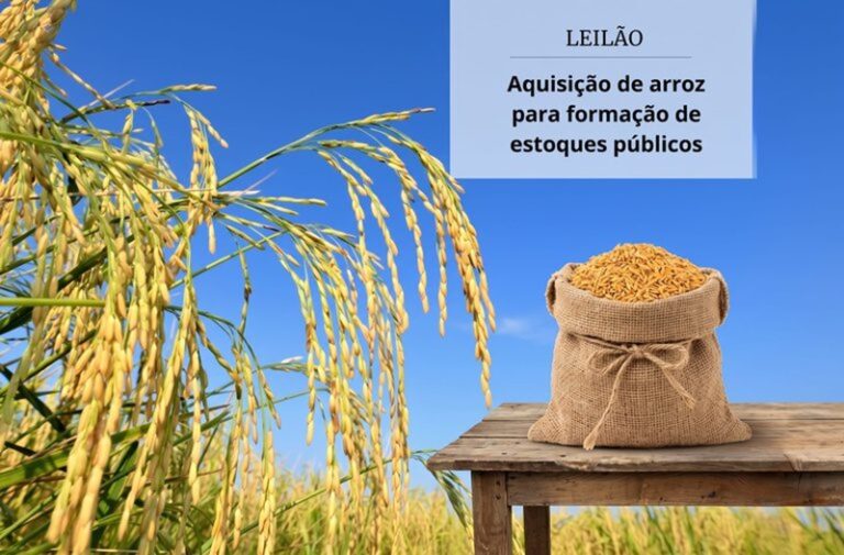 Conab realiza primeiro leilão para compra de arroz e reforço dos estoques públicos