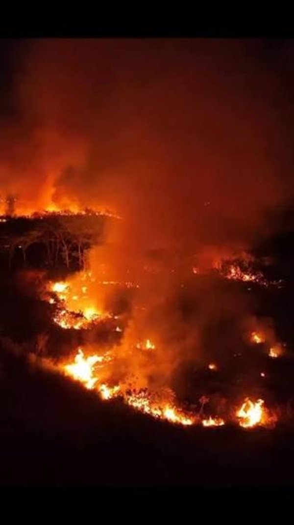 Incêndio de grandes proporções atinge área de vegetação em Cacau Pirêra